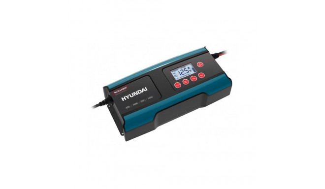 akulaadija HY1510 280 Ah 12-24 V