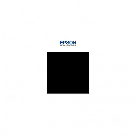 Singlepack Photo Must T44Q140 UltraChrome PRO 12 350 ml