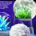 4M DIY set Crystal science