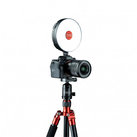 Rotolight NEO 3 (Starter Bundle)