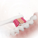 Replacement brush head Sencor