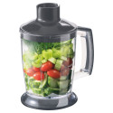 4 in 1 Hand blender Sencor, champagne
