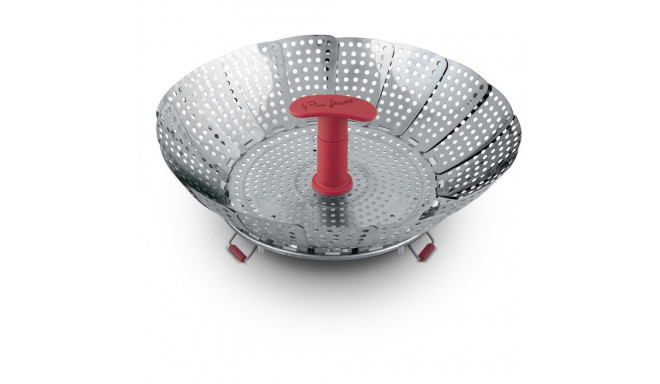 Foldable steamer Lamart