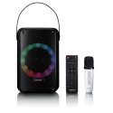 Karaoke system with bluetooth, rechargeable battery, wireless karaoke microphone and disco led light