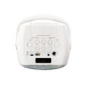 Karaoke system with bluetooth, rechargeable battery, wireless karaoke microphone and disco led light