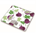 Kitchen scale Terraillon