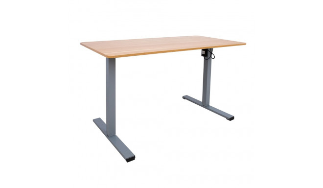 Desk ERGO OPTIMAL with 1 motor 120x60xH71-116cm, oak/silver grey