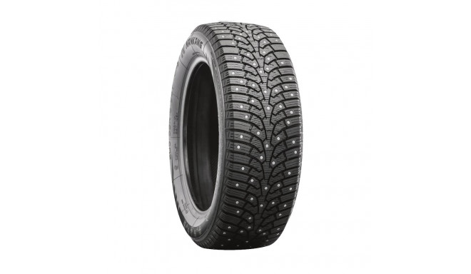 255/45R20 Nankang SW-9 105T XL naast