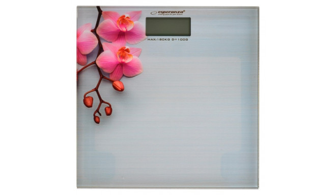 Esperanza EBS010 personal scale Electronic personal scale