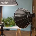 Godox LE300Bi Black Litemons Bi Color LED Video Light