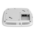 Acces Point DAP-X3060