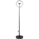 Hama Ring Lamp with Holder Hama Ring Lamp with Holder