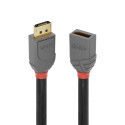 0.5m DisplayPort Extension Cable, Anthra Line DP Male to Female 0.5m DisplayPort Extension Cable, Anthra Line DP Male to Female