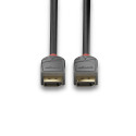 1m DisplayPort 1.4 Cable, Anthra Line DP Male to Male 1m DisplayPort 1.4 Cable, Anthra Line DP Male to Male