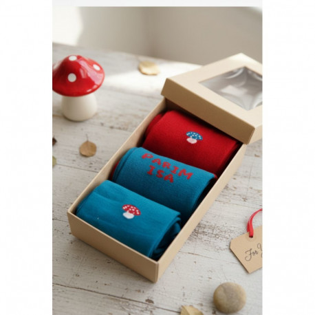 SOKISAHTEL PARIM ISA kinkekarp kolme sokipaariga JUSS 446