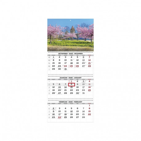 Wall calendar TRIO EXTRA no. 6 2911210006