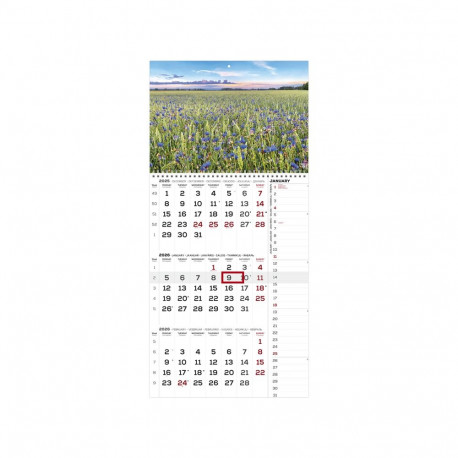 Seinakalender TRIO INTERNATIONAL nr.1 2911230001