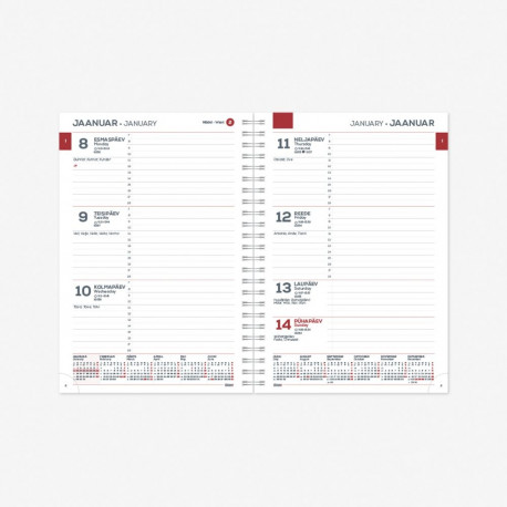 Kalendrisisu MINISTER SpirEx Nädal H 2912731000