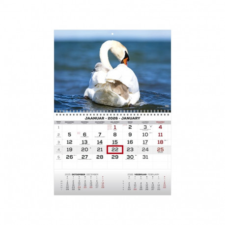 Seinakalender MONO pilt nr. 7 2026a.