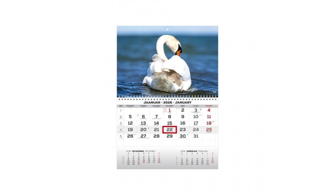 Seinakalender MONO pilt nr. 7 2026a.