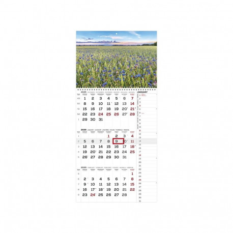 Seinakalender TRIO International pilt nr. 1 2026a.