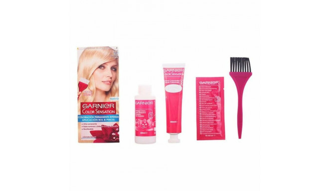 Püsivärv Color Sensation 110 Garnier Color Sensation 110 g