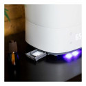 Humidifier Cecotec BreezeCare 3000 30 W