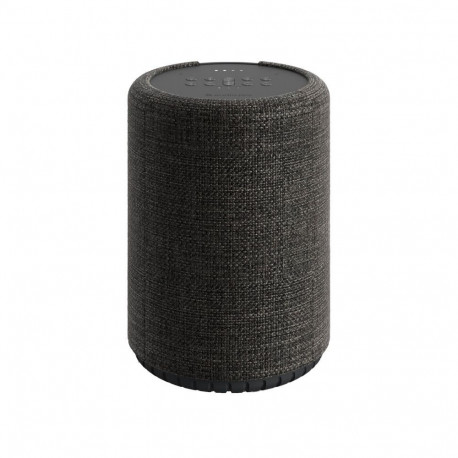 Audio Pro - Bluetooth G10 Dark Grey