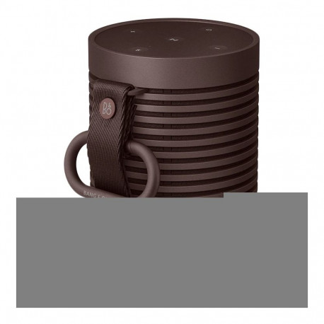 BANG & OLUFSEN Beosound Explore Chestnut Brown