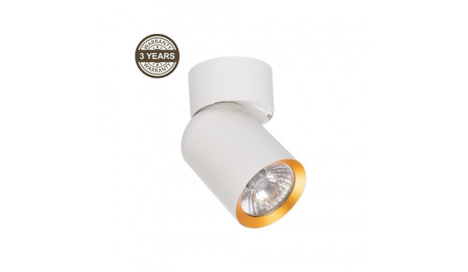 CEILING LIGHT TUNIS GU10 ML9932 WH/GOLD