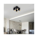 CEILING LIGHT TUNIS 4XGU10 ML9941 B/GOLD CEILING LIGHT TUNIS 4XGU10 ML9941 B/GOLD
