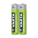 10x2 Varta Akku Professional NiMh 800 mAh Micro