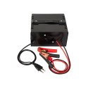 58-686# automaatne akulaadija 12v/12a-24v/6a blow
