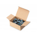 Digitus installation screw M6 50pcs, silver