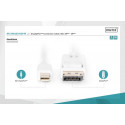 Cable DisplayPort 1.1a Mini  DP-DP M / M 2.0m