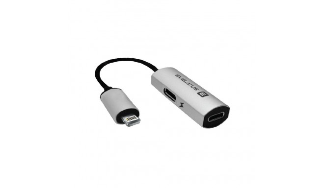 Evelatus Lightning to Lightning-x2 V02 bulk package