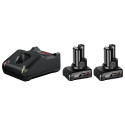 Bosch 2x 6.0Ah, GAL 12V-40 laetav aku
