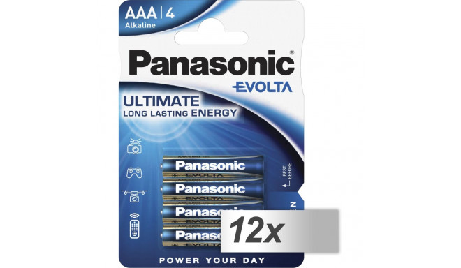 12x4 Panasonic Evolta LR 03 mikroelemendid sisekarbis