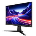 LCD Monitor|DAHUA|LM25-E231BN|24.5"|Gaming|Panel IPS|1920x1080|16:9|200Hz|0.5 ms|DHI-LM25-E231BN