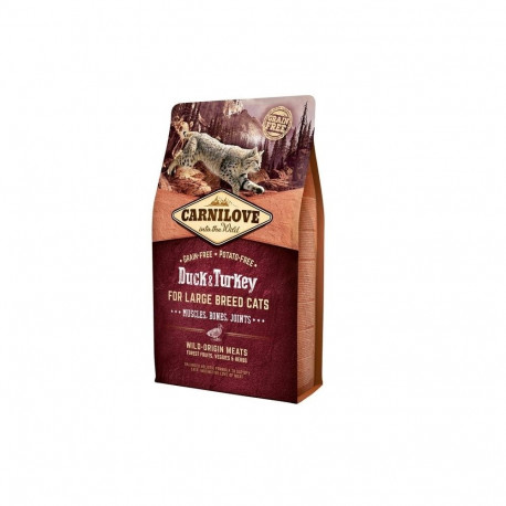 Cat Food - CARNILOVE Large Breed Duck and Turkey 2kg Dry Food 37% Protein