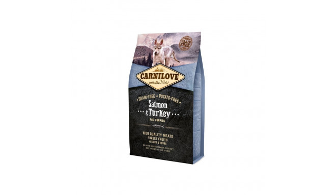 Dog Food - CARNILOVE Salmon & Turkey Puppies Dry Food 4 kg 38% Protein 20% Fat