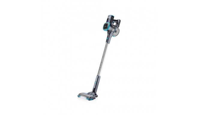 ETA Vacuum Cleaner Fenix 123390000 Cordless operating Handstick and Handheld 25.2 V N/A W Operating