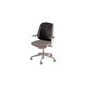 Fellowes CHAIR MESH BACK SUPPORT/9191301 Fellowes CHAIR MESH BACK SUPPORT/9191301
