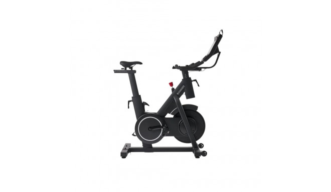 Spinningratas HAMMER Speed Race SR