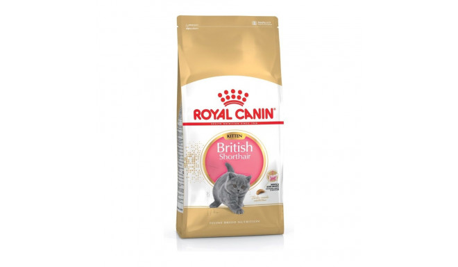 Dry Cat Food - Royal Canin British Shorthair Kitten
