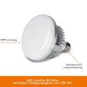 walimex pro LED 45W oktagon Ø65cm kahevärviline