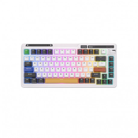Royal Kludge KZZI K75 pro RGB wireless mechanical keyboard, Eternity Switch (black and white) (QWERT