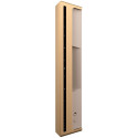 Beosound Level Speaker Gold Tone Alu (Cover Light Oak)