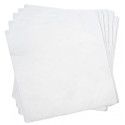 Napkins 33x33cm 2-layer white 100 pcs