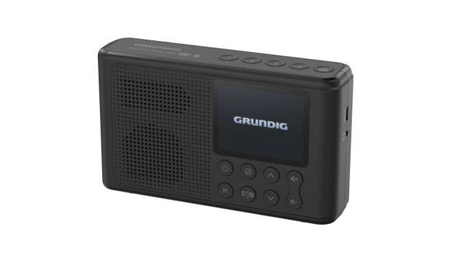 Grundig Music 6500 must